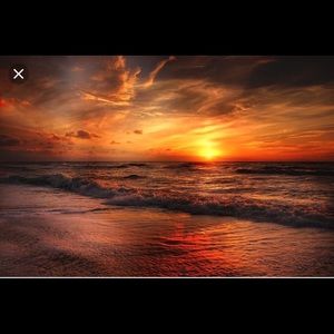 Meet your Posher, Harley